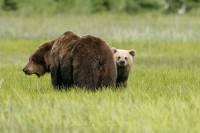 Mum and cub butt